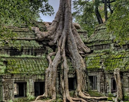 Phnom Penh To Sambor Prei Kuk To Angkor Wat Tour 3d2n
